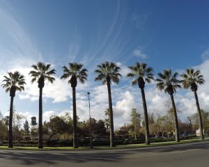 downtown-001-1-e1529105382309-300x240